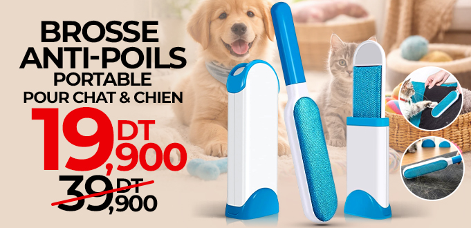 brosse-anti-poils-portable