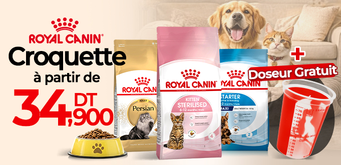 Croquettes ROYAL CANIN