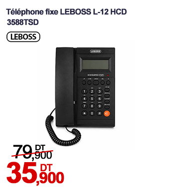 Téléphone fixe LEBOSS 