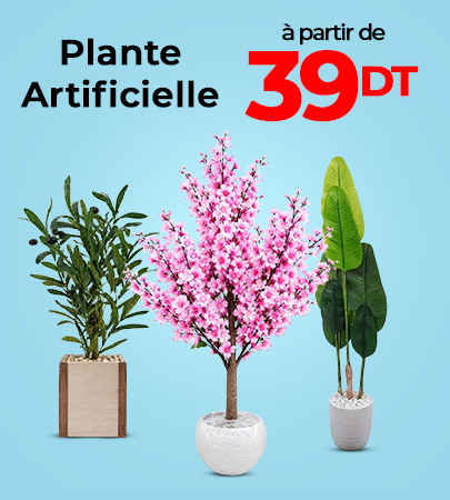 Plantes & Fleurs Artificielles