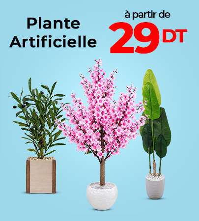 Plantes & Fleurs Artificielles