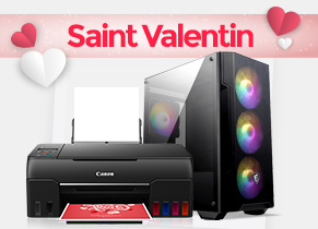 saint-valentin-informatique