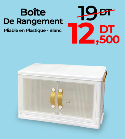 Boîte De Rangement SOFPINCE Pliable en Plastique 