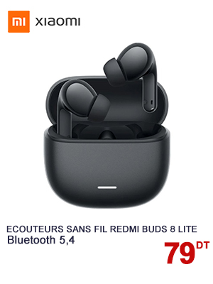 Écouteurs Sans Fil XIAOMI Redmi Buds 8 Lite - Noir

