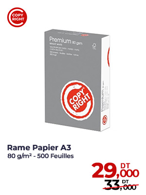 Rame Papier COPY RIGHT Premium