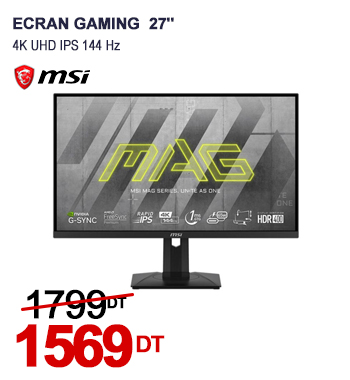 ecran-gaming-msi-mag