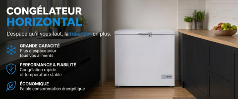 Congélateur Horizontal