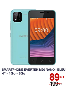 smartphone-evertek-m20-nano