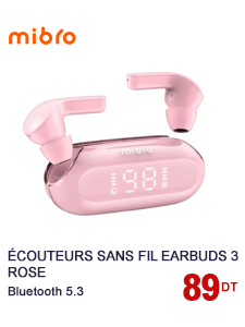 ecouteurs-sans-fil-mibro-earbuds-3