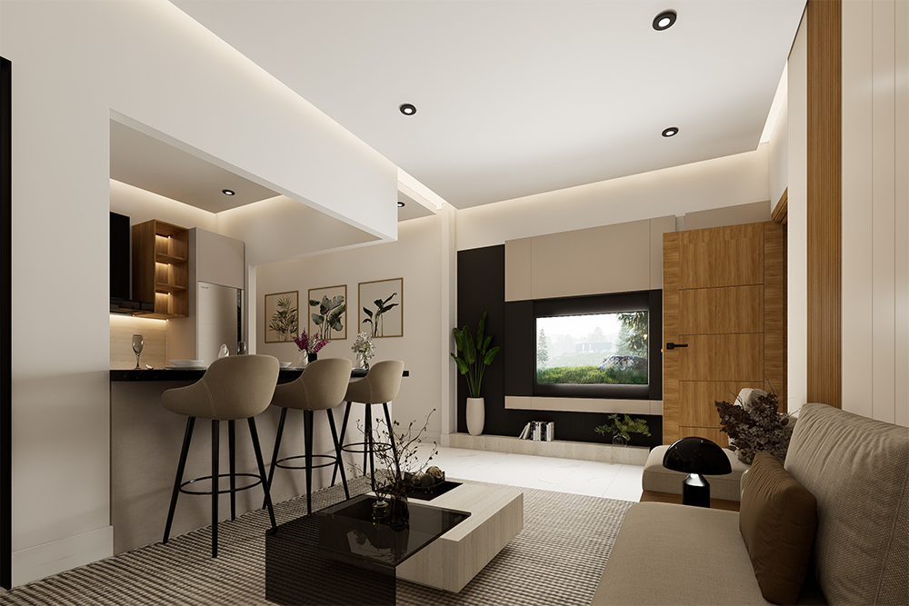 salon et coin tv s+1