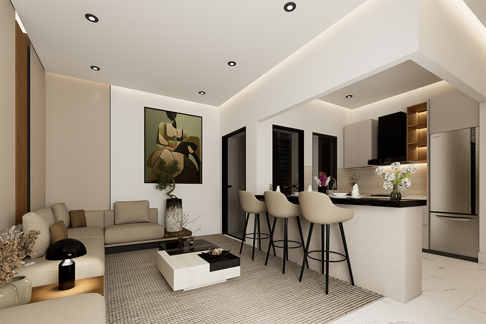 salon et cuisine s+1