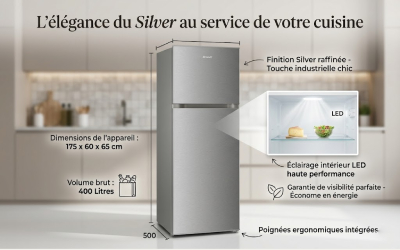 Design Silver élégant