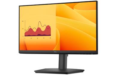 Ecran DELL PRO E2225HSM 21.5'' Full HD 100Hz