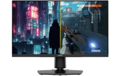 Ecran DELL P2425H 23.8'' Full HD IPS 100 Hz