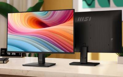 Ecran MSI PRO MP251 E2 24.5