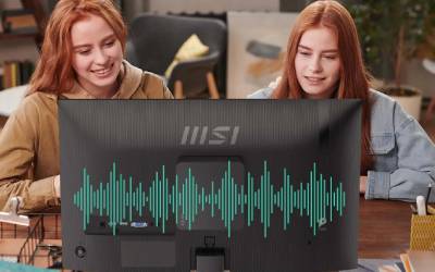Ecran MSI PRO MP251 E2 24.5