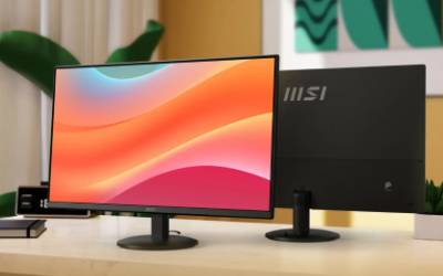 Ecran MSI PRO MP252L 24.5