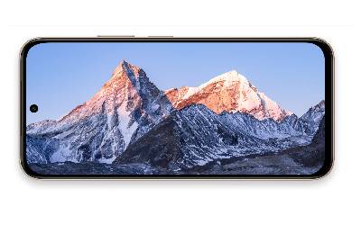 Smartphone VIVO Y31D 4G 6Go 128Go | Gris